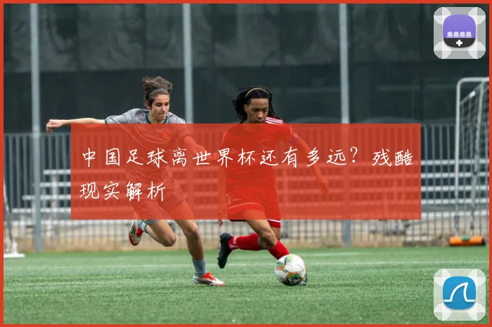 中国足球离世界杯还有多远？残酷现实解析