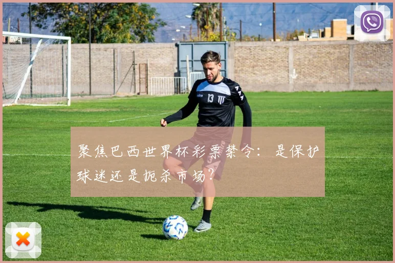 聚焦巴西世界杯彩票禁令：是保护球迷还是扼杀市场？
