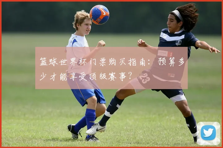 篮球世界杯门票购买指南：预算多少才能享受顶级赛事？