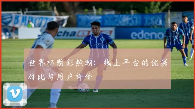 世界杯购彩热潮:线上平台的优劣对比与用户评价