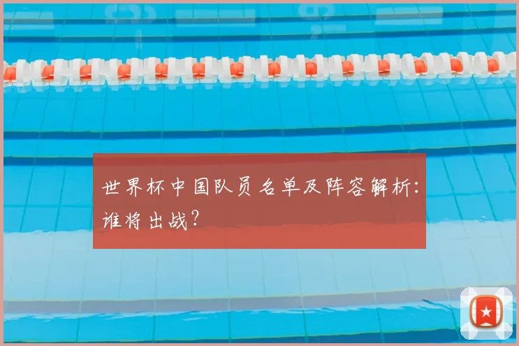 世界杯中国队员名单及阵容解析:谁将出战?