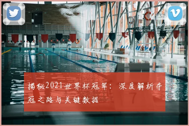 揭秘2021世界杯冠军：深度解析夺冠之路与关键数据