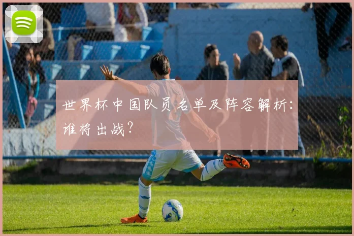 世界杯中国队员名单及阵容解析:谁将出战?