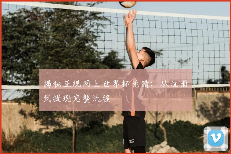 揭秘正规网上世界杯竞猜:从注册到提现完整流程