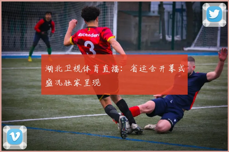 湖北卫视体育直播：省运会开幕式盛况独家呈现